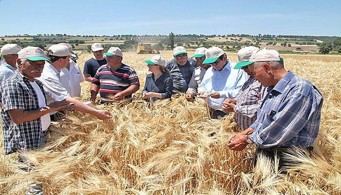 Arpa tarla gününde mahsüller yüz güldürdü