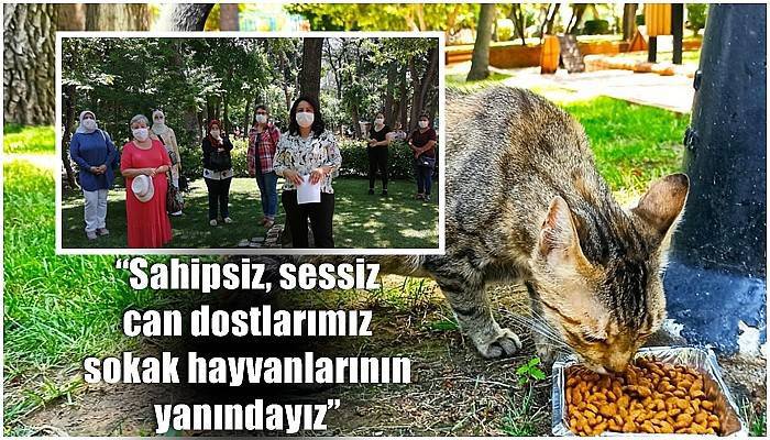 'Sahipsiz, sessiz can dostlarımız sokak hayvanlarının yanındayız'