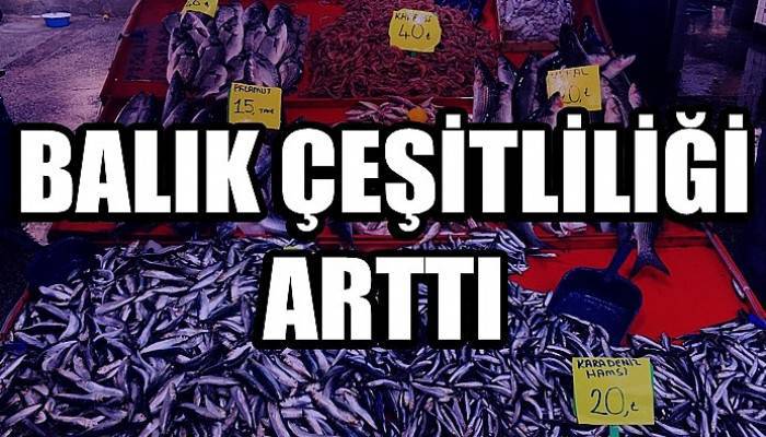Balık çeşitliliği arttı