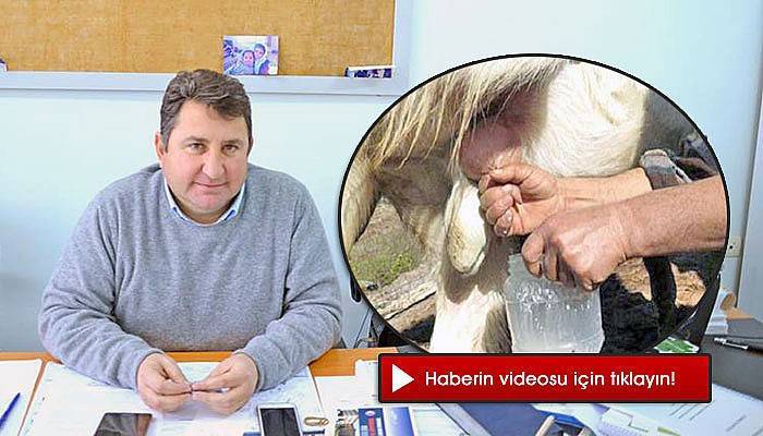 “Süt veren tekenin fizyolojisi bozuluyor” (VİDEO)