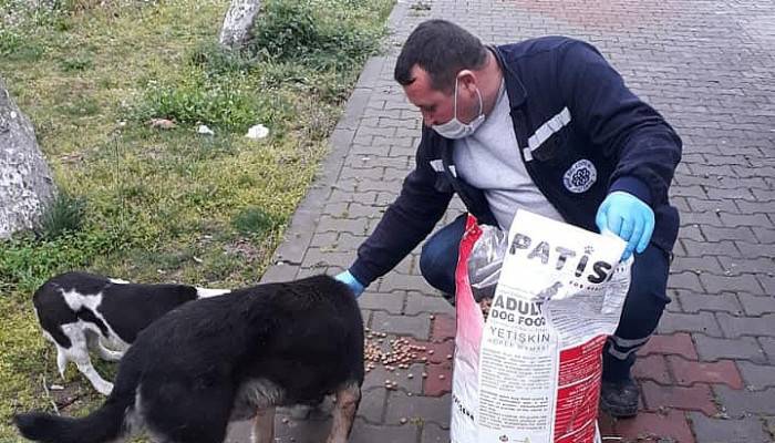 HER KOŞULDA SOKAK HAYVANLARINA SAHİP ÇIKIYOR
