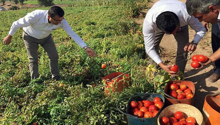“Gider artıyor köylümüz üretimden vazgeçiyor”