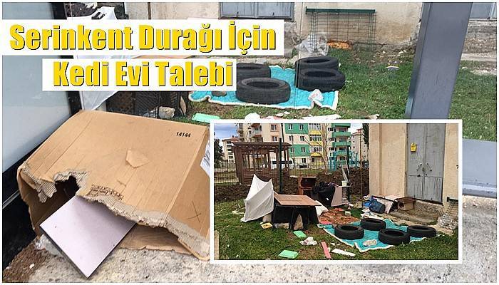 Serinkent Durağı İçin Kedi Evi Talebi