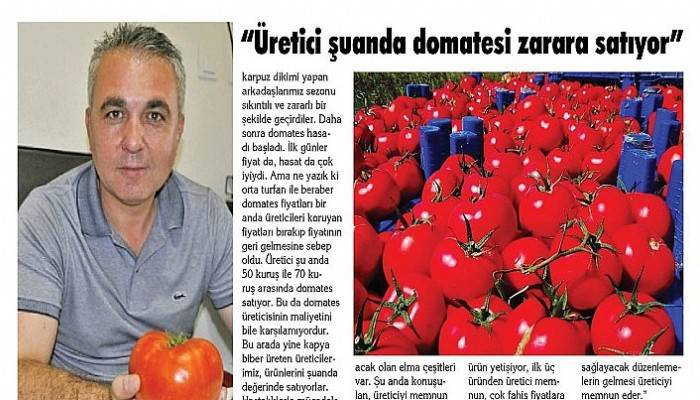 “Üretici şuanda domatesi zarara satıyor”