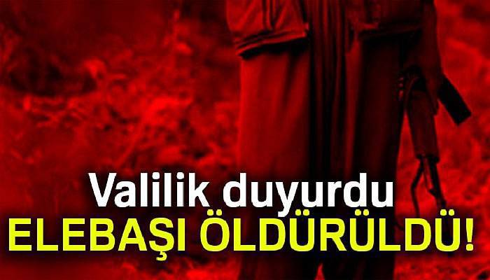 Siirt'te grup sorumlusu terörist öldürüldü