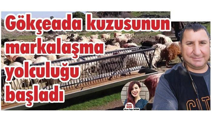 Gökçeada kuzusunun markalaşma yolculuğu başladı