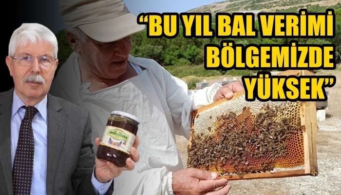 Çiçek balının kuraklıkla, çam balının yangınla başı dertte!