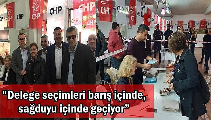 “Delege seçimleri barış içinde, sağduyu içinde geçiyor”