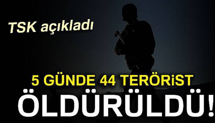 Zap'ta 5 günde 44 terörist öldürüldü!