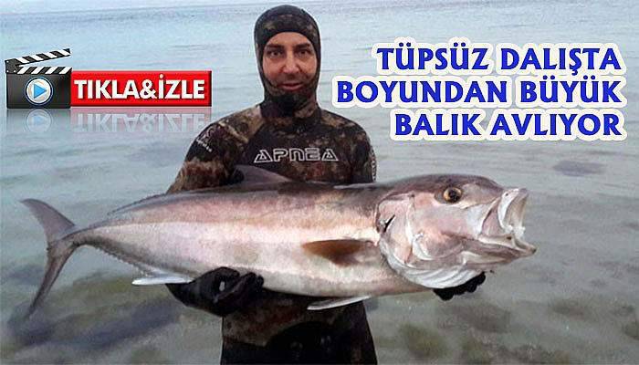 Dalarak avlanma tutkusunu sanata dönüştürdü