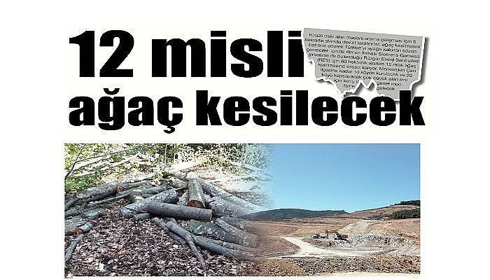 12 misli ağaç kesilecek