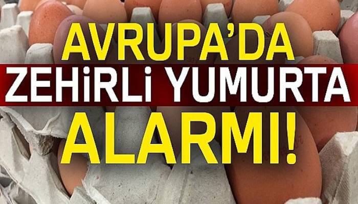 Almanya'da Fipronil alarmı