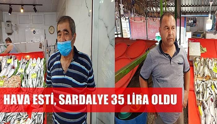 Hava esti, sardalye 35 lira oldu