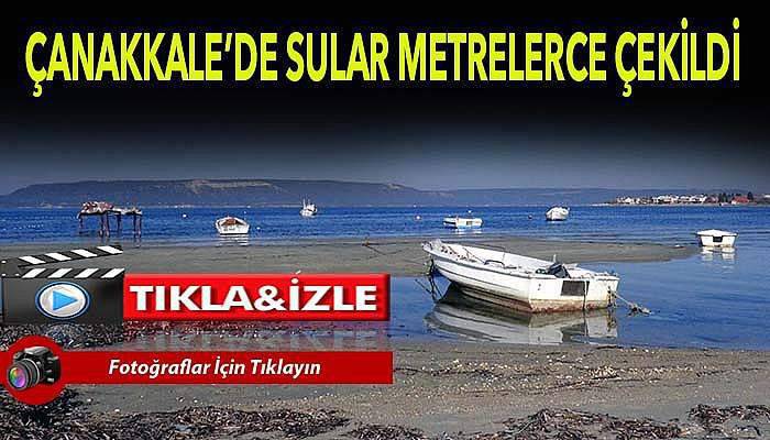 Deniz canlıları ortaya çıktı, tekneler karaya oturdu