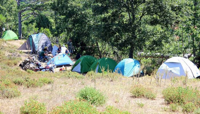 Ormanlık alanı izinsiz işgal edip güvenlik görevlilerine hakaret ettiler