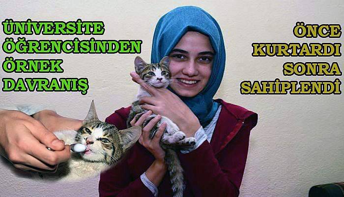 Mahsur kalan kediyi kurtarmak için uğraştılar