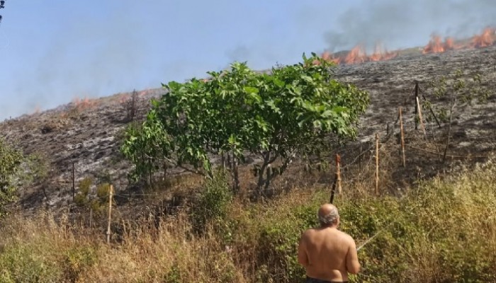 Gelibolu’da yangın paniğe yol açtı (VİDEO)