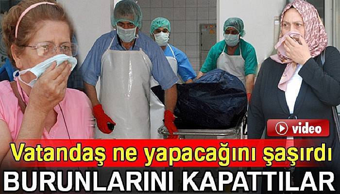 Burunlarını kapatmadan geçemediler