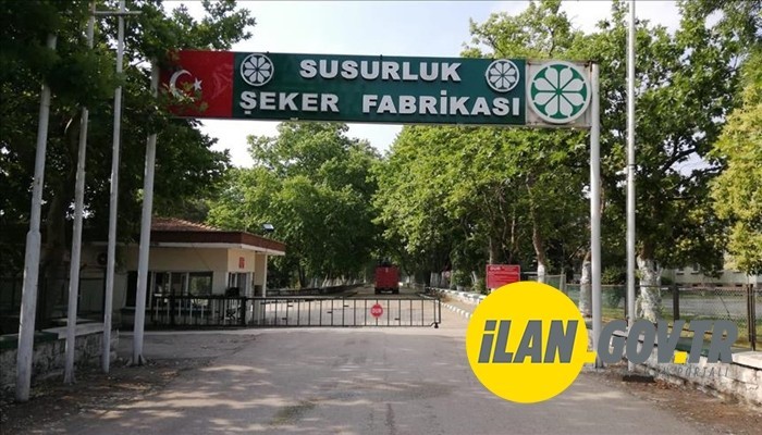PANCAR SİLO SAHASI ISLAH EDİLECEK