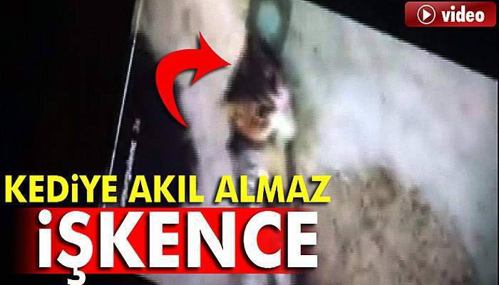 Hayvanseverler suç duyurusuna hazırlanıyor