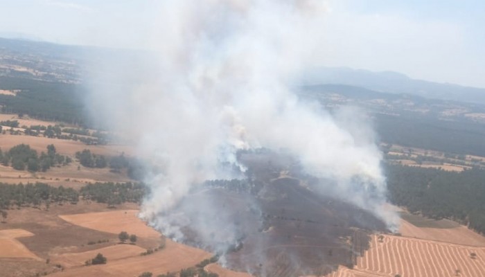 Çanakkale'de tarladaki yangın ormana sıçradı (VİDEO)