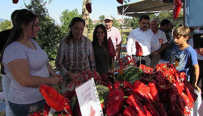Yenice'de Issız Cuma Hayrı ile Tarım Fuarı