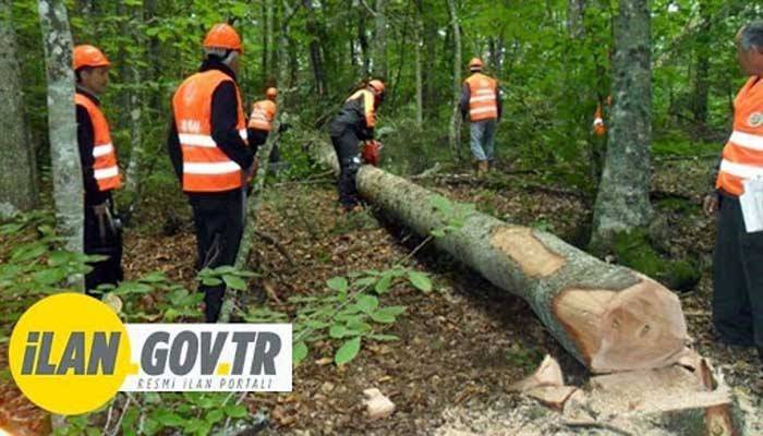 TEKNİK DENETİM KONTROL VE RAPORLANMASI HİZMETİ ALINACAK