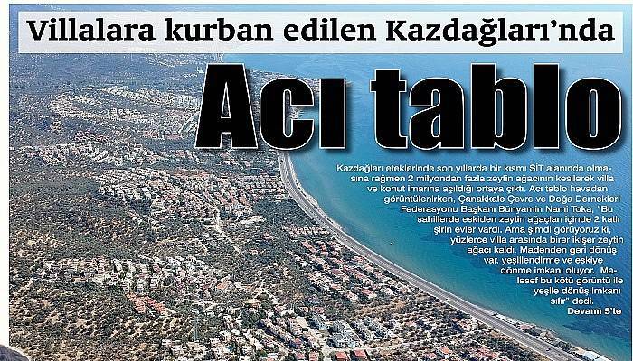 Villalara kurban edilen Kazdağları’nda Acı tablo