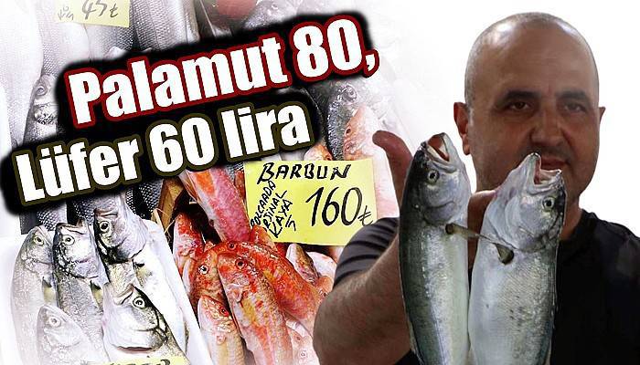 Palamut 80, Lüfer 60 lira