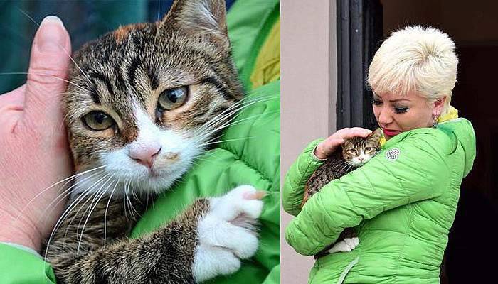 O kedi emin ellerde