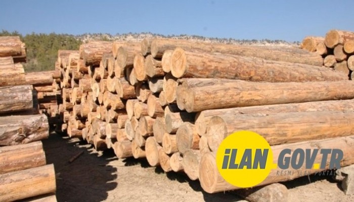 ORMAN EMVALİ İSTİFLEME HİZMETİ ALINACAK