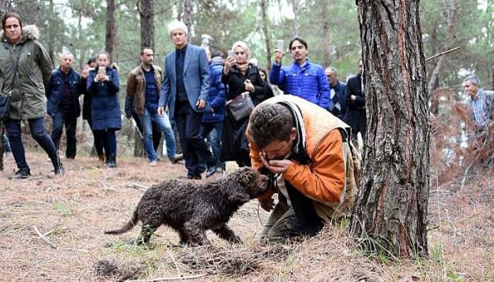 MANTAR AVCISI ARTHUR', 1500 EURO'LUK TRÜF MANTARI TOPLADI