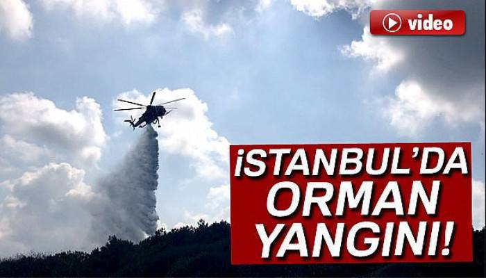 Sarıyer’de orman yangını, 15 dönüm alan zarar gördü