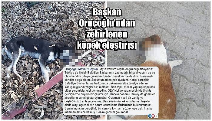 Başkan Oruçoğlu’ndan Milletvekili Ceylan’a zehirlenen köpek eleştirisi
