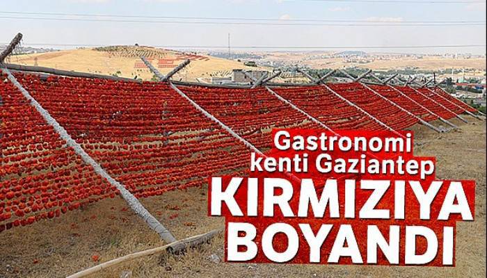 Gastronomi kenti Gaziantep kırmızıya boyandı