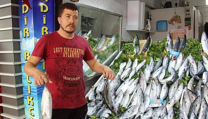 Palamut bolluğu tezgaha yansıdı