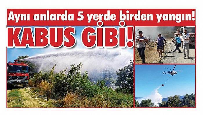 Aynı anlarda 5 yerde birden yangın!