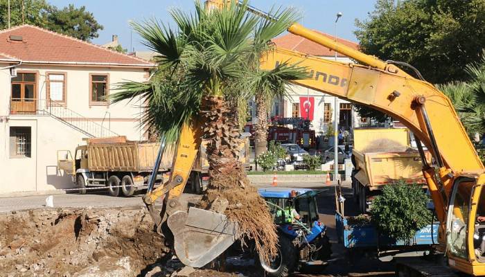 Refüjden Sökülen Ağaçlar Yeni Yerlerine Dikildi