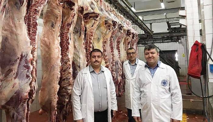 Besilik Erkek Sığır Desteklemesi Ödemeleri Hesaplarda