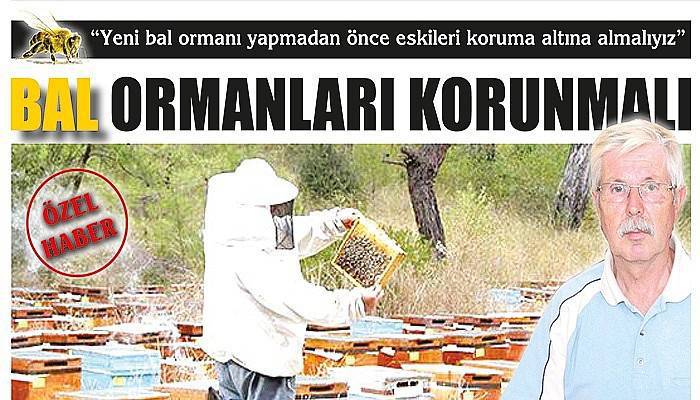 Yeni bal ormanı yapmadan önce eskileri koruma altına almalıyız
