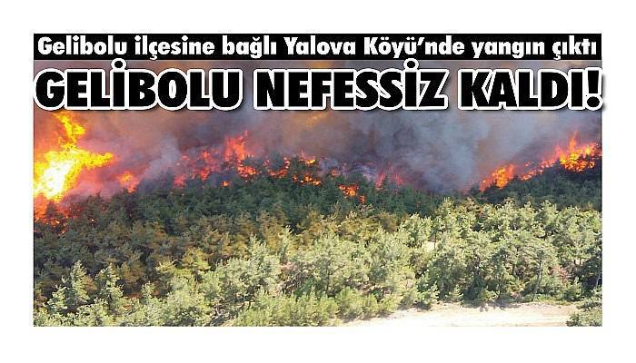 Gelibolu ilçesine bağlı Yalova Köyü’nde yangın çıktı