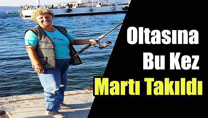 Oltasına Bu Kez Martı Takıldı