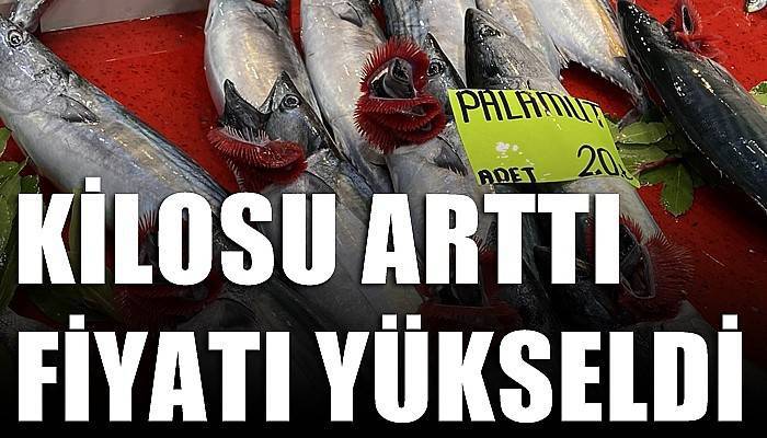 Kilosu arttı, fiyatı yükseldi