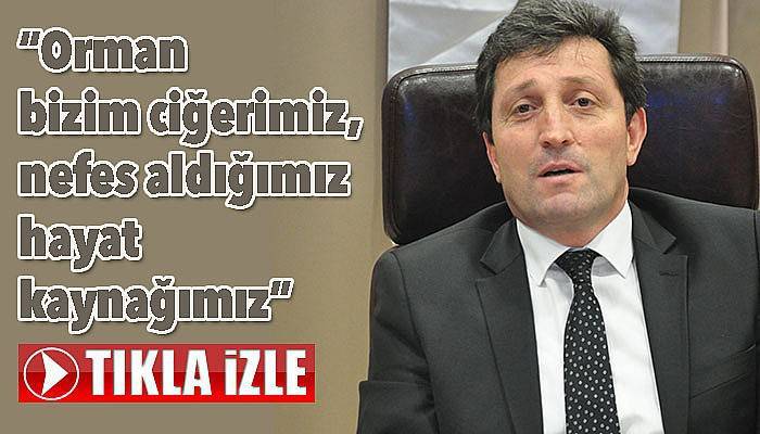 Vali Tavlı'dan orman hassasiyeti (VİDEO)