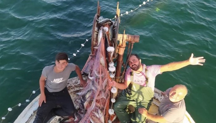 Çanakkaleli balıkçı, 15 bin tane lüfer yakaladı (VİDEO)