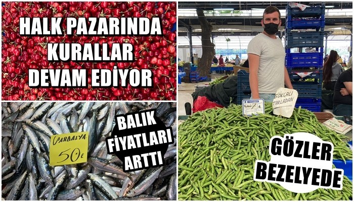 HALK PAZARINDA KURALLAR DEVAM EDİYOR: Gözler, mevsimin gözdesi bezelyede