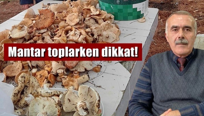 Mantar toplarken dikkat!