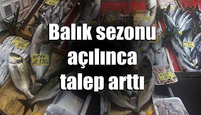 Balık sezonu açılınca talep arttı
