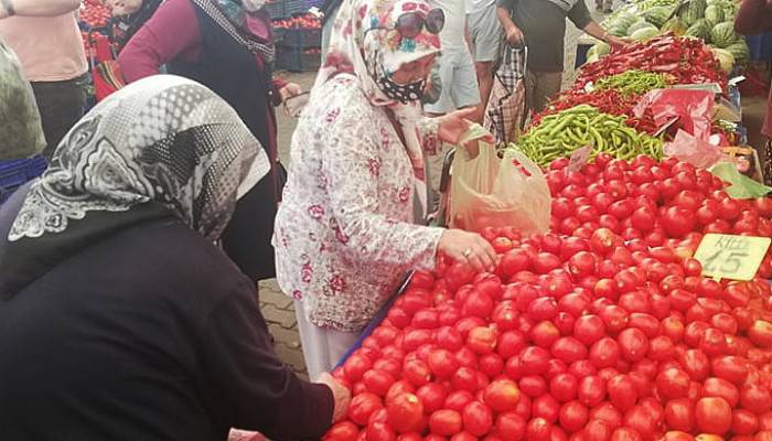 Domates 1.5 TL’den satıldı