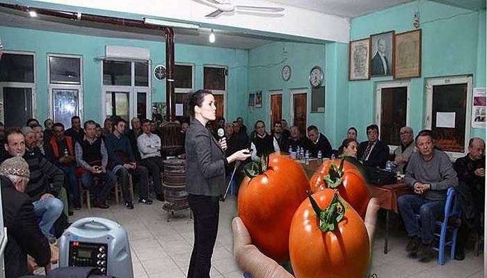 Çanakkale Domatesi için ortak mücadele